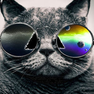 Meet your Posher, Ingrid